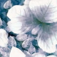 thumbnail image 2 of Saunders, Alonzo 26x26 White Modern Wood Framed Museum Art Print Titled - Blue Shaded Leaves I, 2 of 4