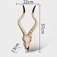 thumbnail image 6 of Skull Sheep Head Wall Sculpture 3D Head for Room , C 56.5x21.5x13cm, 6 of 8