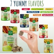 Small Pet Select - Healthy Snackers - Carrot/Pineapple