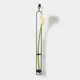 thumbnail image 6 of Couronne Co Elegant Glass Flower Vases & Test Tube for Plants – Clear Vase Decor for Living Room, Indoor Plants & Home Decorations - 33 in, 6 of 9