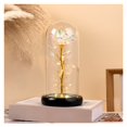 thumbnail image 1 of Flor de la inmortalidad con cubierta de vidrio y luces LED, flor de cristal eterna for siempre, rosa iluminada en cúpula de vidrio, 1 of 7