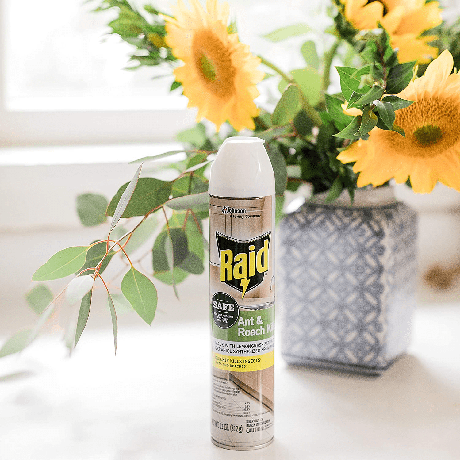 Raid Ant and Roach Killer, Aerosol Spray with Essential Oils (12)
