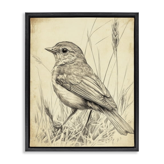 Stupell Industries Traditional Vintage Small Sketched Bird Black Floating Frame Canvas Art, 17 x 21, by Petals Prints Design