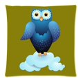 thumbnail image 1 of BOSDECO Mignon Bande Dessinée Hibou Zippée Jeter Coussin Housse de Protection 18x18 Pouces Deux Côtés Impression, 1 of 1
