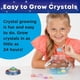 thumbnail image 5 of Kit de terrario Crystal Space Creativity para niños STEM 6+, 5 of 9