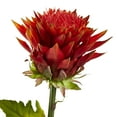 thumbnail image 2 of Nearly Natural 33” Tropical Artificial Flower (Set of 6), 2 of 2