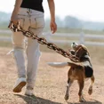 thumbnail image 3 of Correas De Cadena Para Perros Grandes Correas Para Mascotas, 3 of 6