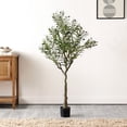 thumbnail image 2 of SAFAVIEH Faux Olive 60" Potted Tree, Green, 2 of 6