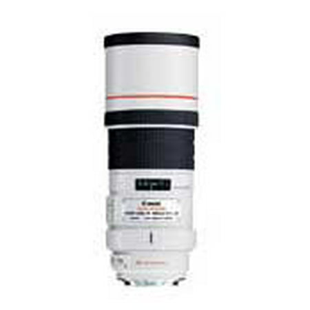 Canon EF 300mm f/4L IS USM Lens (Best 300mm Lens For Canon)