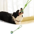 thumbnail image 1 of Durable Rope Dog Toy for Interactive Play and Puppy Teething Training with Tough, 1 of 4