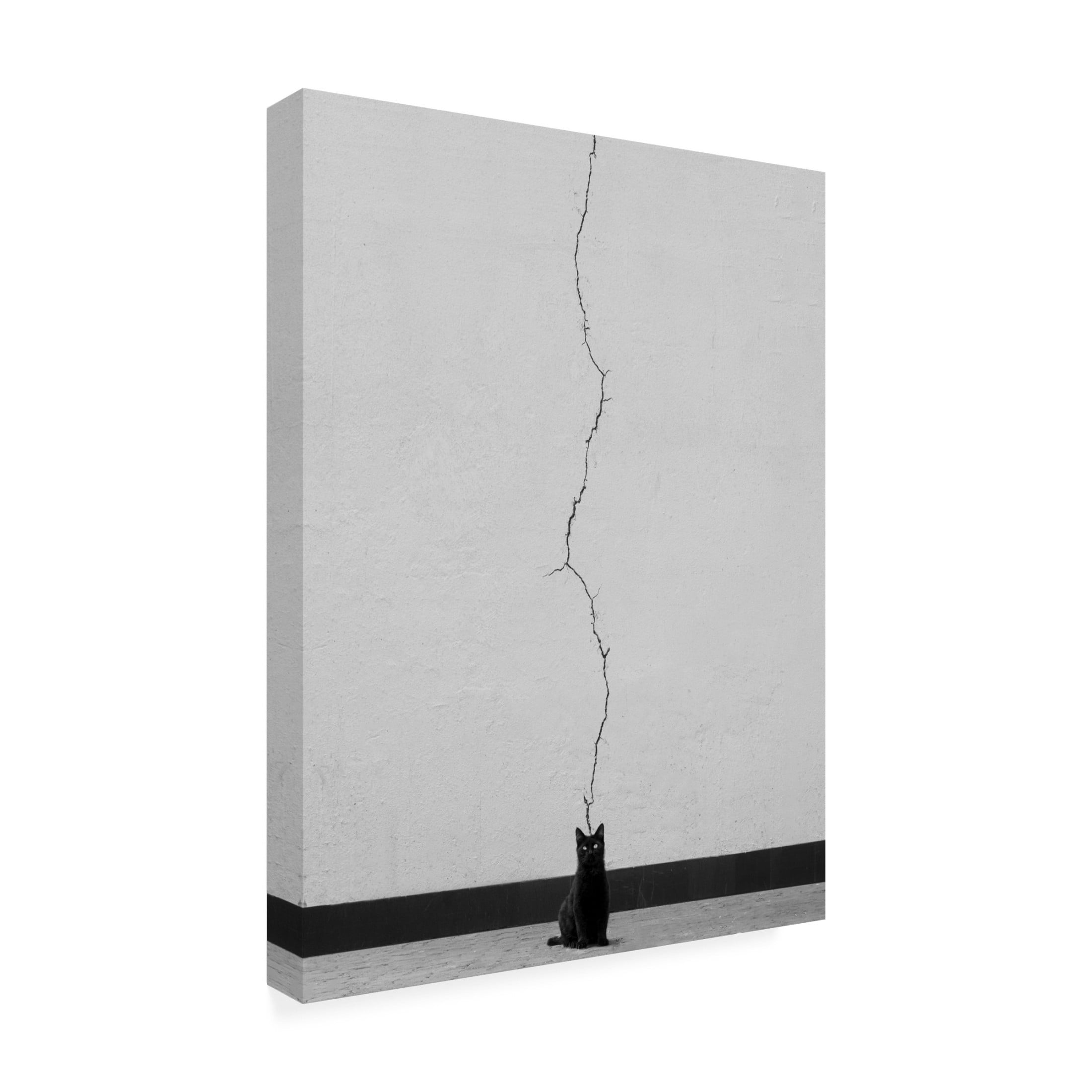 Trademark Fine Art alizolghadri93 Cat Thoughts Canvas Wall Art