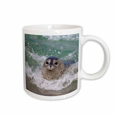 

3dRose USA California La Jolla. A baby seal surfing. Ceramic Mug 15-ounce