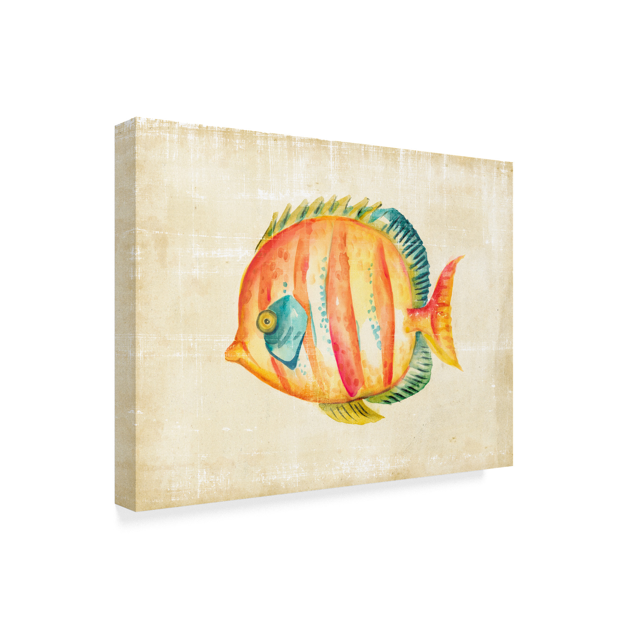 Trademark Fine Art 'Aquarium Fish II' Canvas Art by Chariklia Zarris
