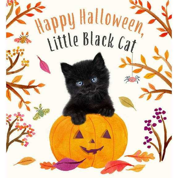 Happy Halloween, Little Black Cat: A Board Book (Board Book)