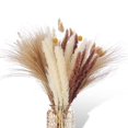 thumbnail image 1 of 60 uds hierba de pampa seca Natural decorativa, reedspapapas Grasstail Weedcrab Billy Balls compatibles con Wedd, 1 of 5