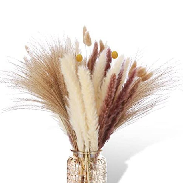 60 uds hierba de pampa seca Natural decorativa, reedspapapas Grasstail Weedcrab Billy Balls compatibles con Wedd
