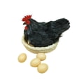 thumbnail image 4 of Almencla Simulation Hen Model Ornament Artificial Feather Prop for Kitchen Home Store black, 4 of 8