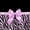 C Purple Black 1, variant on Erosebridal Purple Cute Bows Girls Twin Quilt Set,Gothic Vintage Floral Twin Coverlet Set For Adult,2-Piece