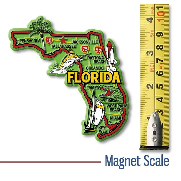 Florida Colorful Magnet by Classic Magnets, 3.7" x 3.9" - Walmart.com