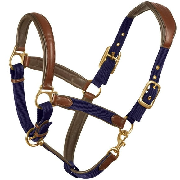 Ovation Equestrian Padded Leather Crownpiece Ergonomic Comfortable Adjustable Chin Luxor Cushion-Flex Halter, Navy, Cob