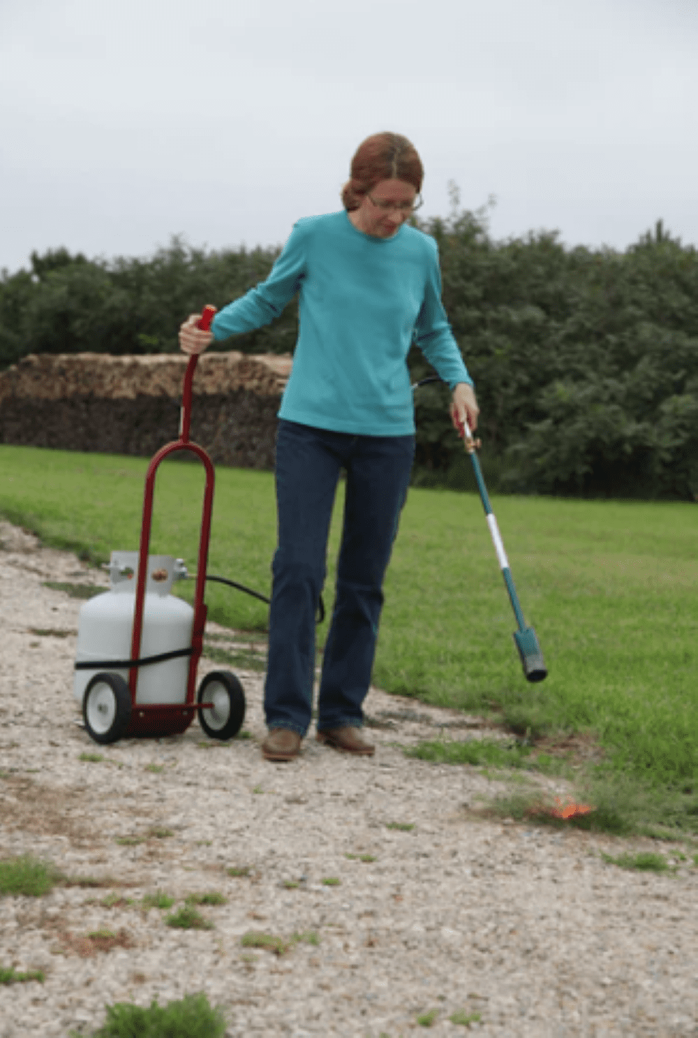 Red Dragon CD-100 Propane Cylinder Dolly