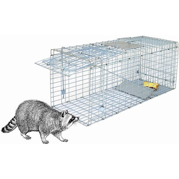 ANHXN Live Animal Trap Cage,  Large Humane Rodent Catch Release Steel Cage Door for Raccoon/Rabbits/Possum/Feral Cats/Squirrel/Skunk/Mink Outdoor Small Animals
