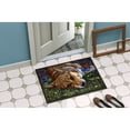 thumbnail image 2 of Corgi Pastel Butterfly Door Mat, 2 of 4