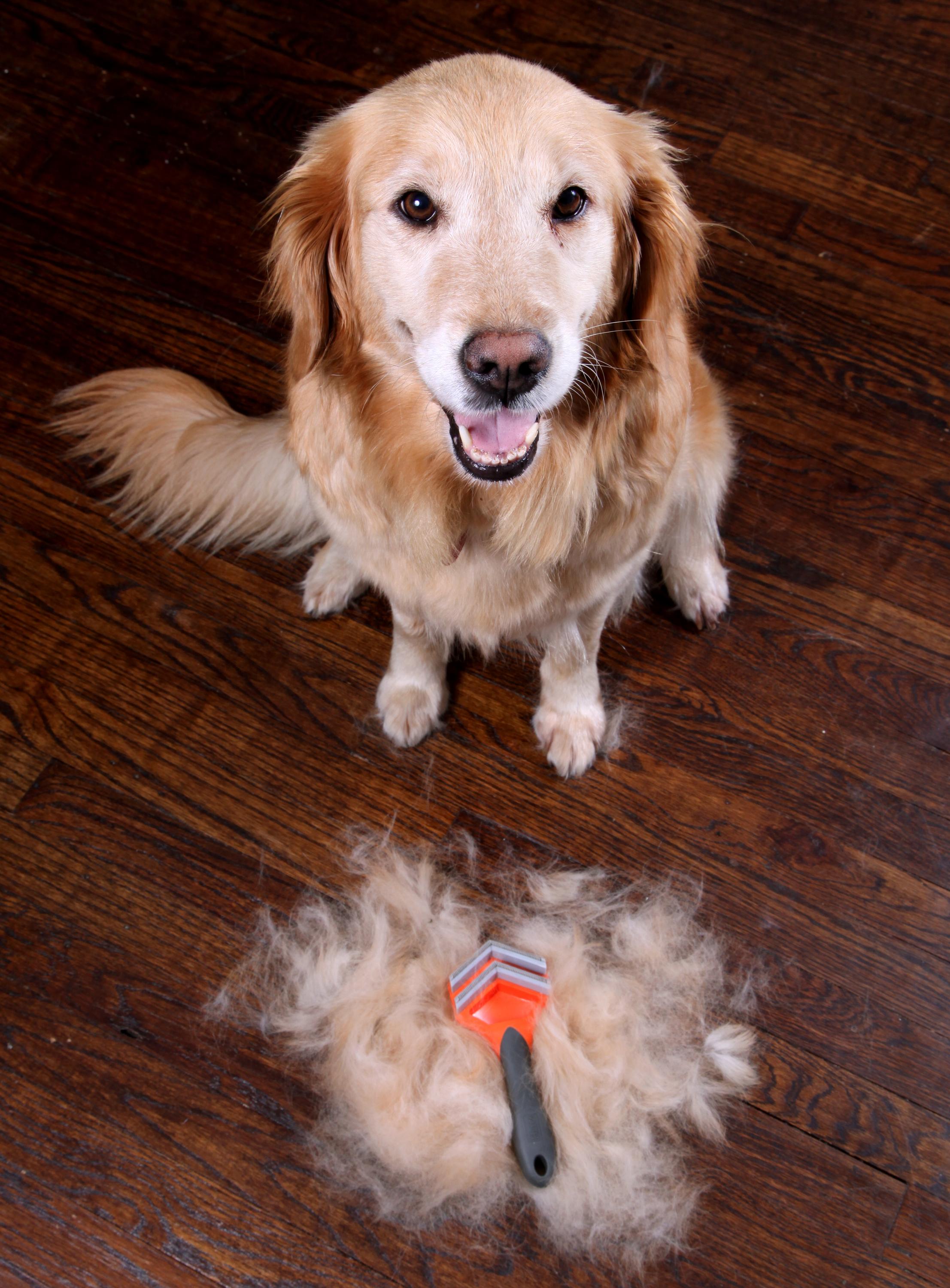 Hartz Groomer's Best Fur Fetcher De-Shedder Brush photo 3