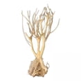 thumbnail image 1 of Paisajismo del acuario,Acuario Driftwood no flotando en el agua,Reptil Araña Madera Natural Ramas Surtidas,Tronco Madera Driftwood Árbol Peces Nadar A Través,Decoración de terrario de, 1 of 9