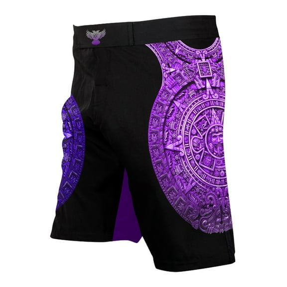 Raven Fightwear Men's Aztec Ranked BJJ MMA Shorts Purple
