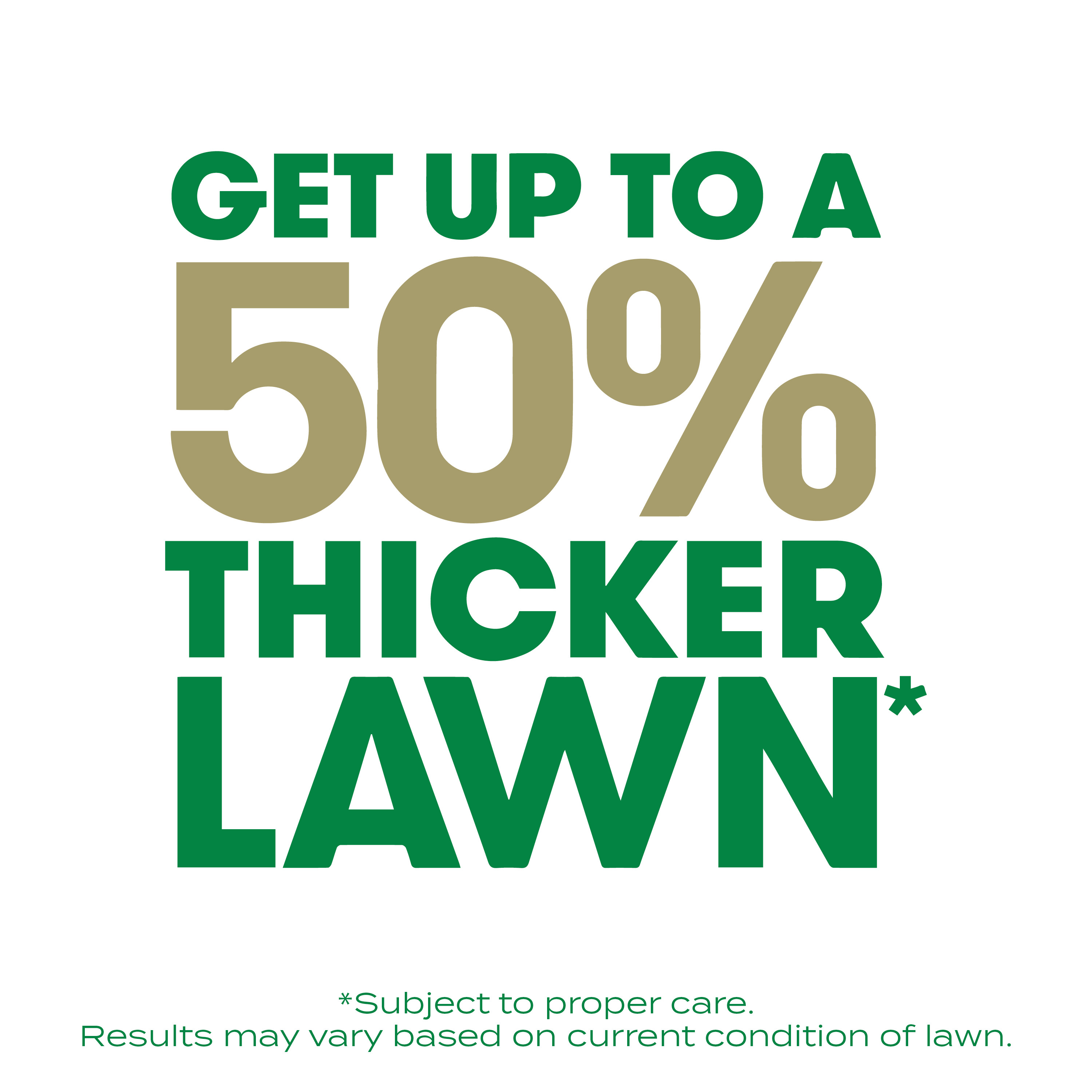 Scotts Turf Builder Thick'R Lawn Southern Gold Blend for Tall Fescue Lawns, 12 lbs.