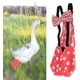 thumbnail image 1 of Pañal de pollo Pañal ajustable para mascotas Tela para aves de corral Pañal para mascotas Ganso Pollo Pato Palomas Aves de corral ajustables para ganso Patos Gallina Pollo, 1 of 8