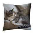 thumbnail image 2 of Throw Pillow Cover 18x18 Inch Cute Embroidery Pattern Short Lint Soft Breathable Decorative Pillowcase for Sofa Living Room Home by MPOISVA, 2 of 5