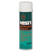 19 oz. Aerosol Spray All-Purpose Cleaner - Mint Scent (12/Carton)