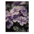 thumbnail image 3 of Designart "Photo of Whispering Violets I" Floral Print on Natural Pine Wood, 3 of 5