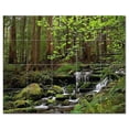 thumbnail image 1 of River Ceramic Tile Mural Kitchen Backsplash Bathroom Shower, 401429-S54, 1 of 3