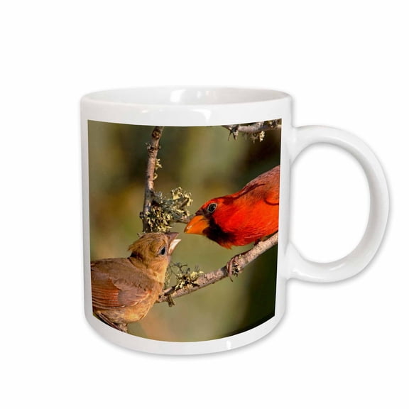 3drose, Texas, Rio Grande Valley, Northern Cardinal Birds - Us44 Bja0049 - Jaynes Gallery, 15oz Mug