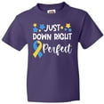 thumbnail image 3 of Inktastic Just Down Right Perfect Down Syndrome Awareness Ribbon Youth T-Shirt, 3 of 5
