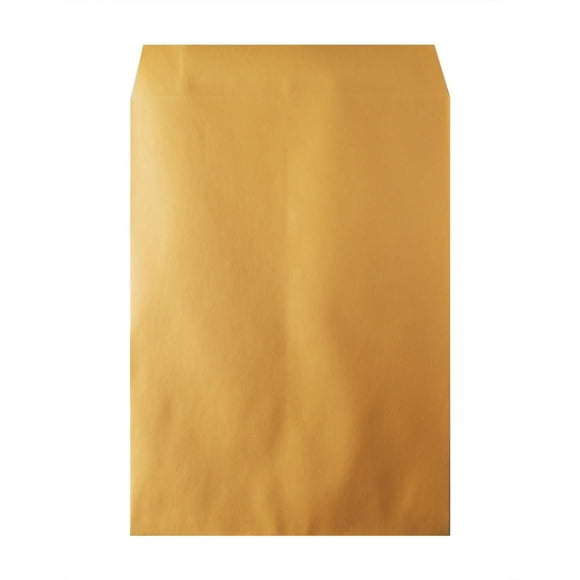 Hilroy Kraft Envelopes, 9x12-Inch, 100-Count