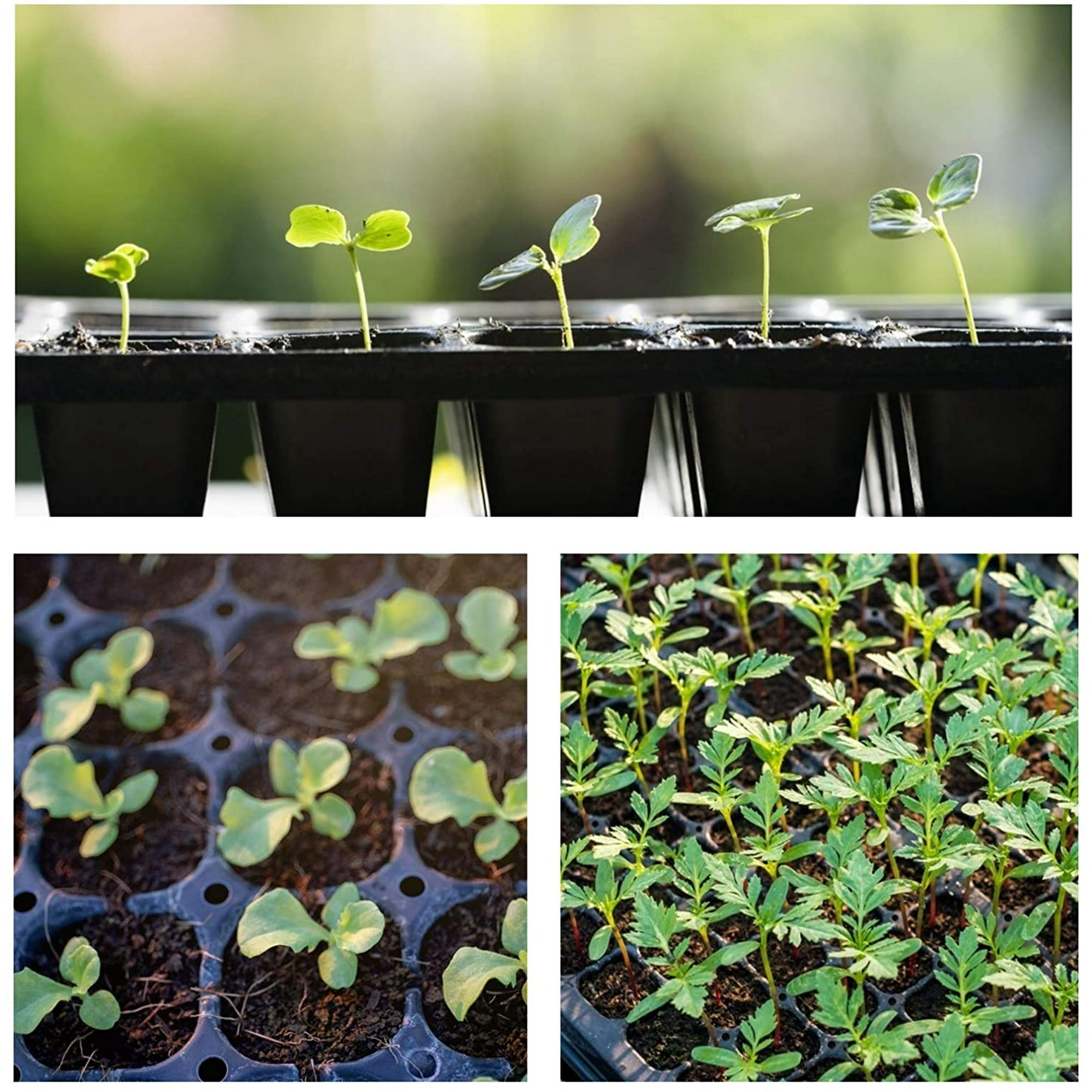 Silent Hill Homecoming Xbox 360 Rom Heating Pad For Plants