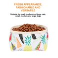 thumbnail image 3 of Bol pour Chien Pliable Bol de Voyage pour Animal de Compagnie Portable Pliable Camping Imperméable Eau Alimentation Nourriture Bol pour Animal de Compagnie pour Camping Extérieur Randonnée Marche, 3 of 9