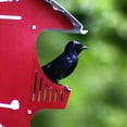 thumbnail image 4 of S&K Purple Martin Barn, 16 Room, 4 of 9