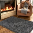 thumbnail image 7 of ZENELESS 2' x 3' Small Area Rug Kids Room Bedroom Nursery Rug Indoor Cozy Carpet Deep Grey, 7 of 7