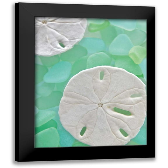 Blaustein, Alan 12x14 Black Modern Framed Museum Art Print Titled - Seaglass 5