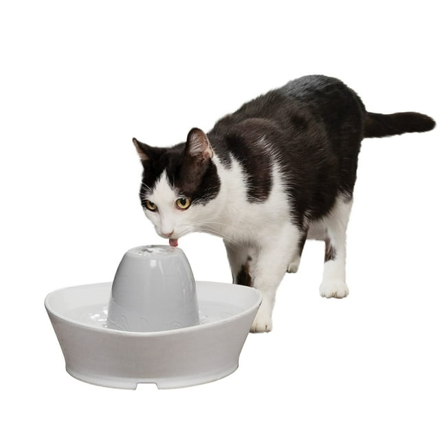 PetSafe Creekside Ceramic Pet Fountain – for Cats and Small Dogs – 60 Oz Water Capacity – Whisper-