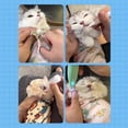 thumbnail image 6 of Cat Grooming Wrap Cat Wrap for Cutting Nails Cat Restraint for Nail Clipping Cat Swaddle Wrap Cat Burrito Wrap Anti-Scratch Anti-Escape Multifunctional Pet Tool Cat Swaddle Wrap, 6 of 9