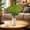 Green, variant on Ke1Clo 5Pcs Artificial Dandelions, Silk Greenery Wedding Floor Arrangement, Realistic Fake Flowers with Plastic for Home Decor, Party, Centerpiece, Yellow