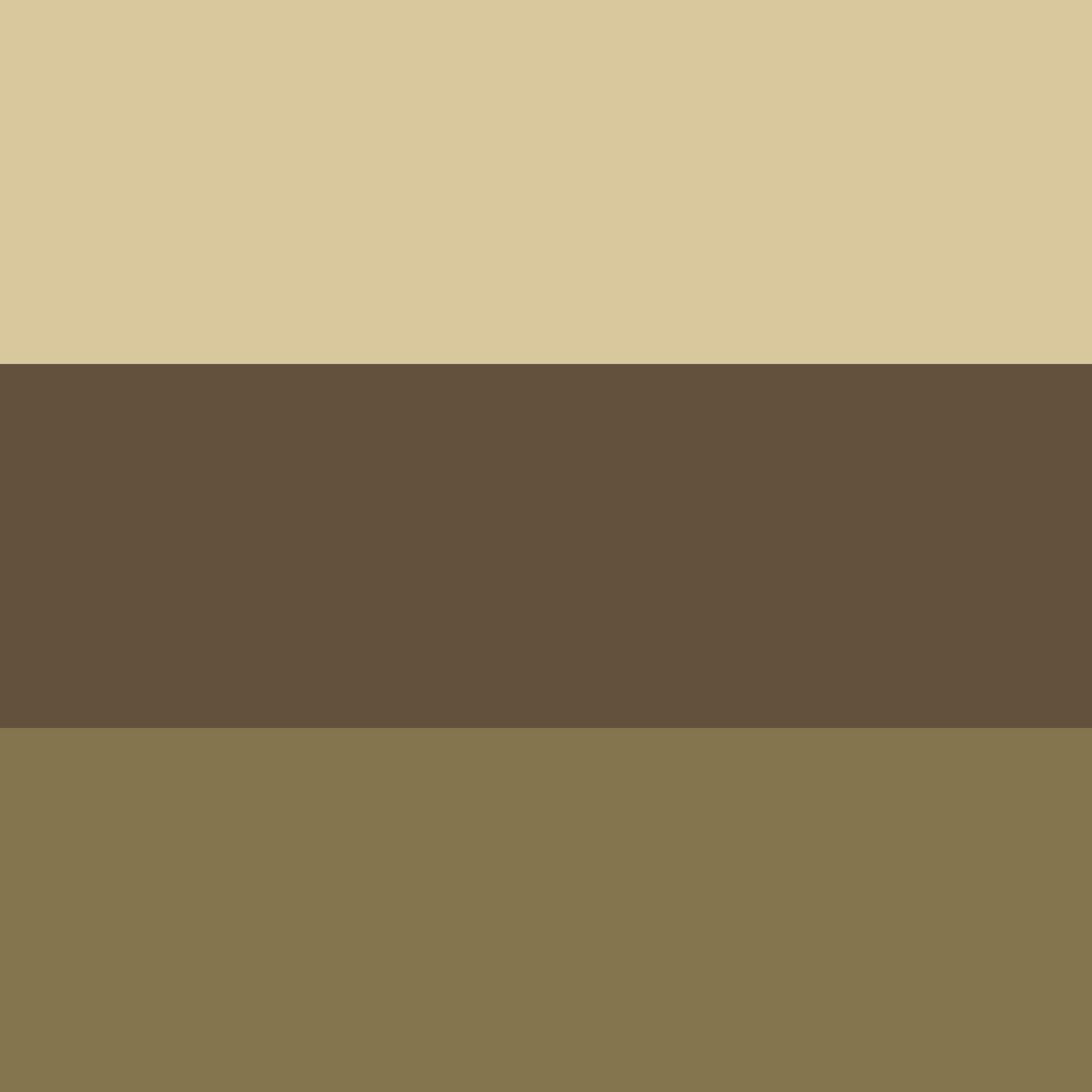 Coppery Blaze