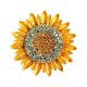 thumbnail image 1 of Broche de girasol para mujer, con diamantes de imitación de cristal, joyería Retro hecha a mano, broches elegantes de flor de sol, 1 of 5