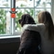 thumbnail image 2 of Regalos Conmemorativos Para Amantes De Los Perros Con Manchas De Sangre. Adorno De Perro Con Alas De Ángel Para Colgar En La Ventana. Suncatcher. Regalo De Condolencia Por La Pérdida De Un Perro. Re, 2 of 2
